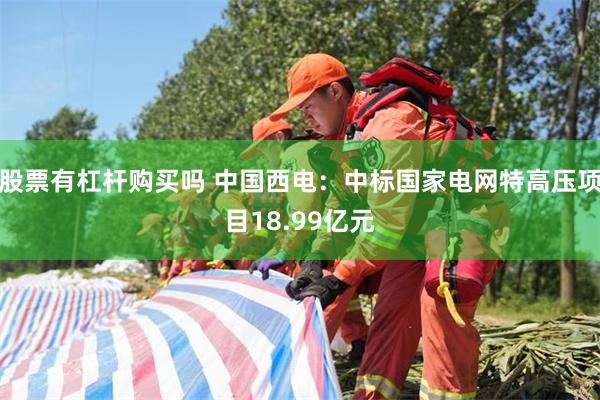 股票有杠杆购买吗 中国西电：中标国家电网特高压项目18.99亿元