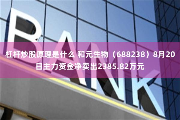 杠杆炒股原理是什么 和元生物（688238）8月20日主力资金净卖出2385.82万元