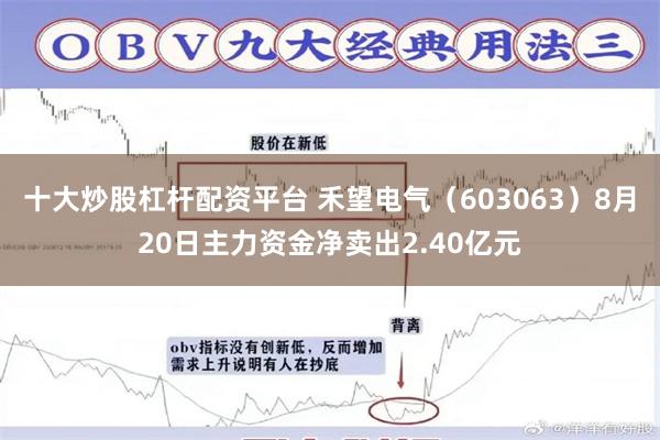 十大炒股杠杆配资平台 禾望电气（603063）8月20日主力资金净卖出2.40亿元