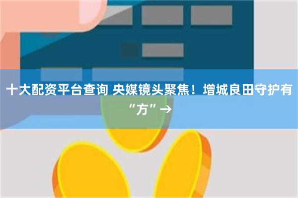 十大配资平台查询 央媒镜头聚焦！增城良田守护有“方”→