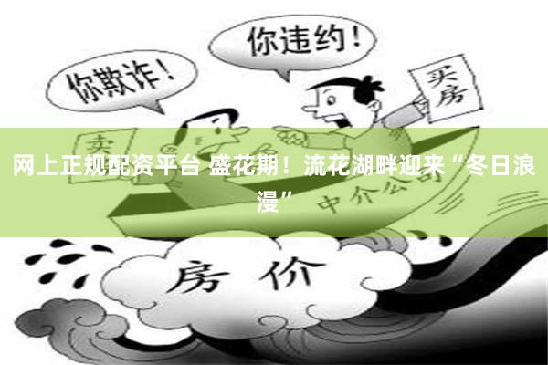 网上正规配资平台 盛花期！流花湖畔迎来“冬日浪漫”