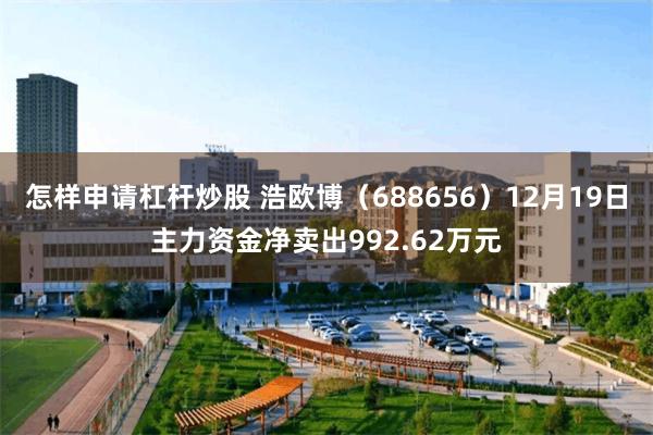 怎样申请杠杆炒股 浩欧博(688656)12月19日主力资金净卖出992.62万元