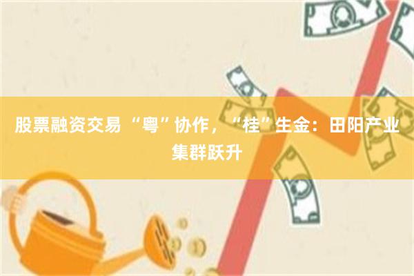 股票融资交易 “粤”协作，“桂”生金：田阳产业集群跃升