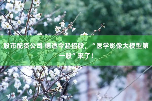 股市配资公司 德适今起招股，“医学影像大模型第一股”来了！