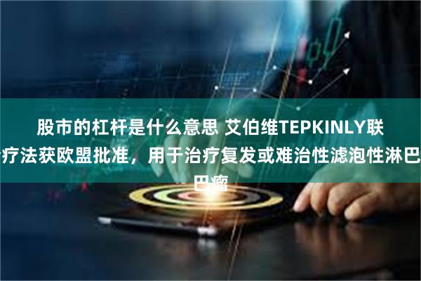 股市的杠杆是什么意思 艾伯维TEPKINLY联合疗法获欧盟批准,用于治疗复发或难治性滤泡性淋巴瘤