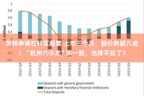 怎样申请杠杆买股票 上市三个月，股价跌超八成！“杭州六小龙”第一股，也撑不住了？